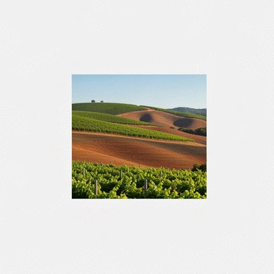 Australian vineyard landscape showing diverse soil types and rolling hills, symbolizing terroir